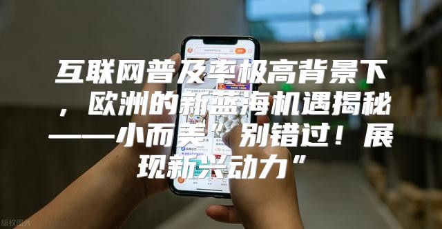 互联网普及率极高背景下，欧洲的新蓝海机遇揭秘——小而美”别错过！展现新兴动力”