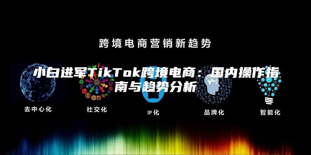 小白进军TikTok跨境电商：国内操作指南与趋势分析