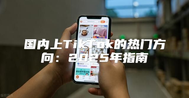 国内上TikTok的热门方向：2025年指南