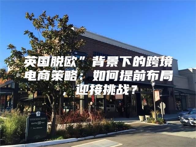 英国脱欧”背景下的跨境电商策略：如何提前布局，迎接挑战？