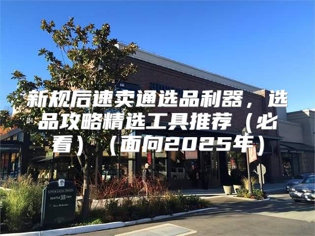 新规后速卖通选品利器，选品攻略精选工具推荐必看面向2025年