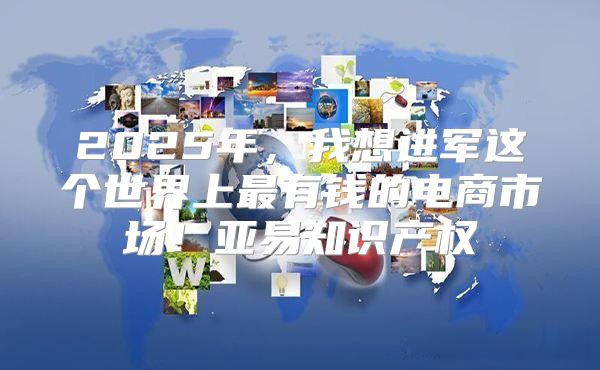 2025年，我想进军这个世界上最有钱的电商市场！亚易知识产权