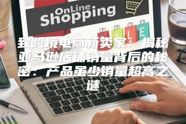 致跨境电商新卖家：揭秘亚马逊店铺销量背后的秘密：产品虽少销量超高之谜