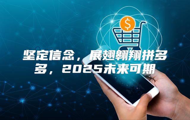 坚定信念，展翅翱翔拼多多，2025未来可期