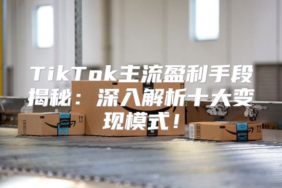 TikTok主流盈利手段揭秘：深入解析十大变现模式！