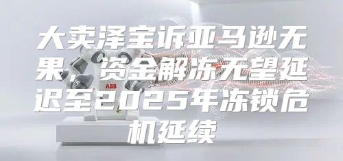 大卖泽宝诉亚马逊无果，资金解冻无望延迟至2025年冻锁危机延续