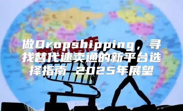 做Dropshipping，寻找替代速卖通的新平台选择指南 2025年展望