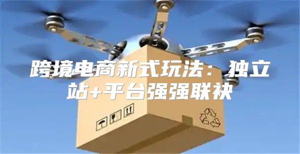 跨境电商新式玩法：独立站+平台强强联袂
