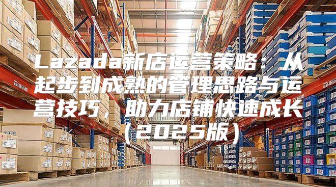 Lazada新店运营策略：从起步到成熟的管理思路与运营技巧，助力店铺快速成长2025版
