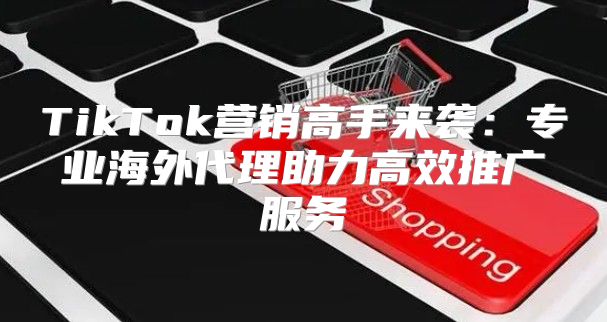 TikTok营销高手来袭：专业海外代理助力高效推广服务