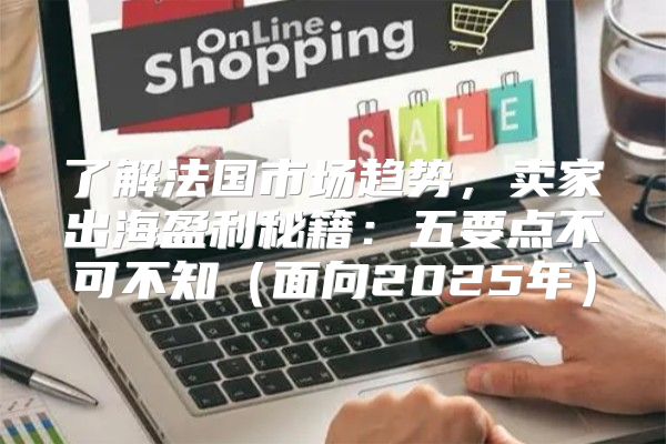 了解法国市场趋势，卖家出海盈利秘籍：五要点不可不知面向2025年