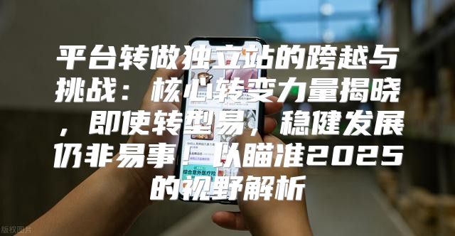 平台转做独立站的跨越与挑战：核心转变力量揭晓，即使转型易，稳健发展仍非易事！以瞄准2025的视野解析