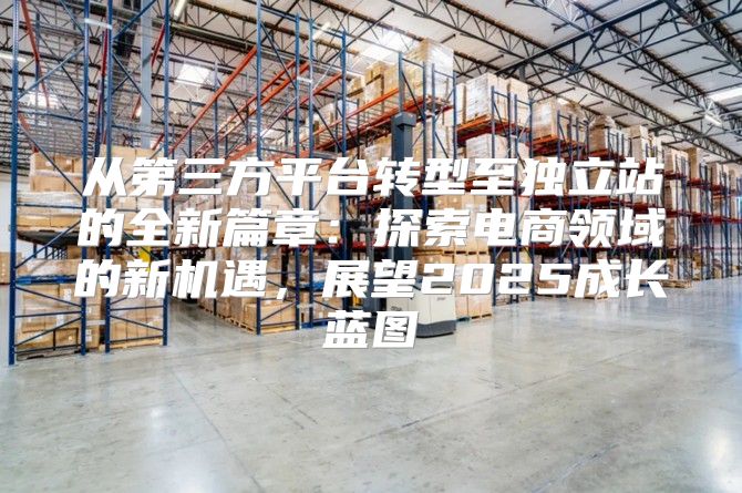 从第三方平台转型至独立站的全新篇章：探索电商领域的新机遇，展望2025成长蓝图