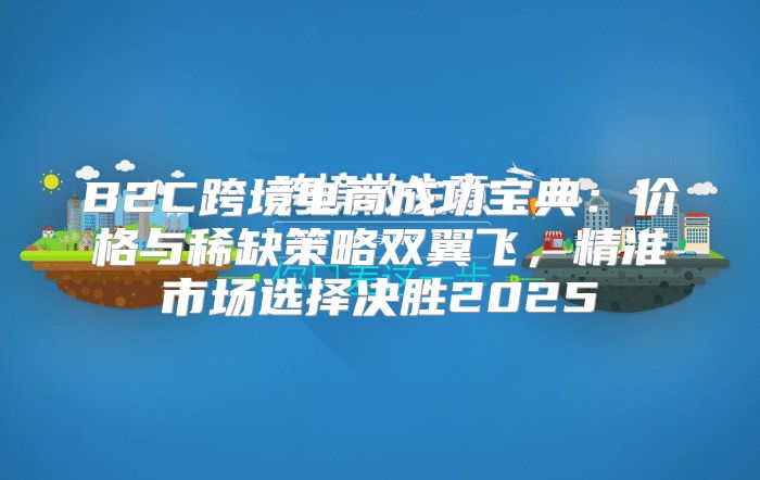 B2C跨境电商成功宝典：价格与稀缺策略双翼飞，精准市场选择决胜2025