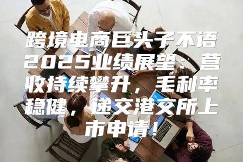 跨境电商巨头子不语2025业绩展望：营收持续攀升，毛利率稳健，递交港交所上市申请！