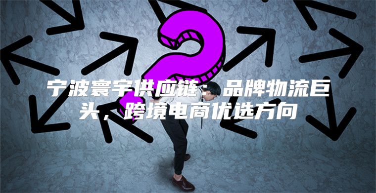 宁波寰宇供应链：品牌物流巨头，跨境电商优选方向