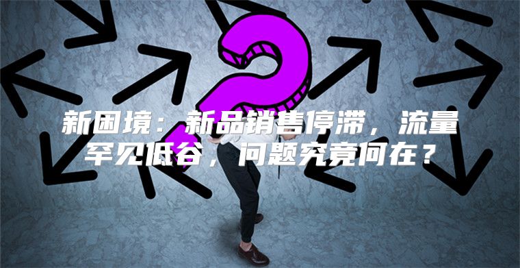 新困境：新品销售停滞，流量罕见低谷，问题究竟何在？