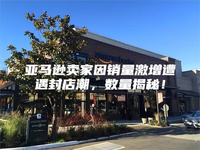 亚马逊卖家因销量激增遭遇封店潮，数量揭秘！