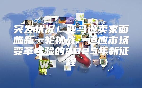 突发状况！亚马逊卖家面临新一轮挑战：适应市场变革考验的2025年新征程