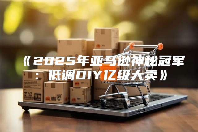 2025年亚马逊神秘冠军：低调DIY亿级大卖