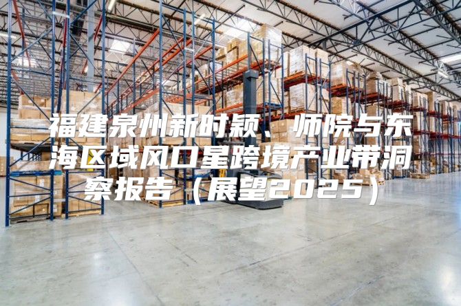福建泉州新时颖、师院与东海区域风口星跨境产业带洞察报告展望2025