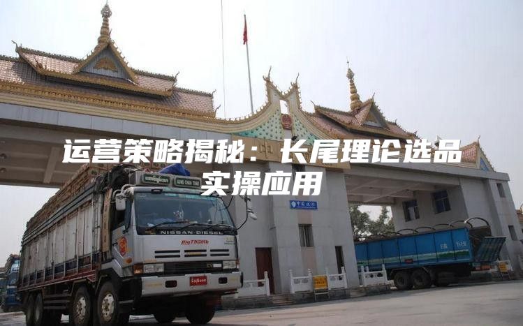 运营策略揭秘：长尾理论选品实操应用