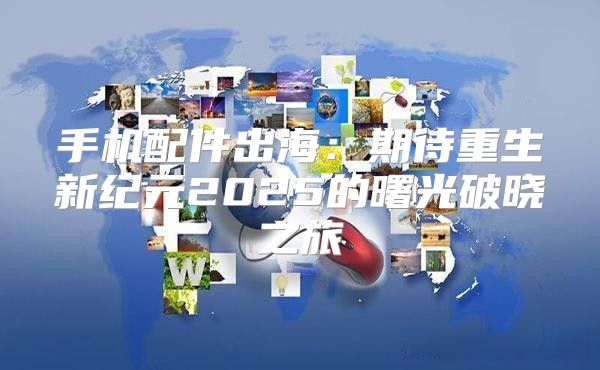 手机配件出海：期待重生新纪元2025的曙光破晓之旅