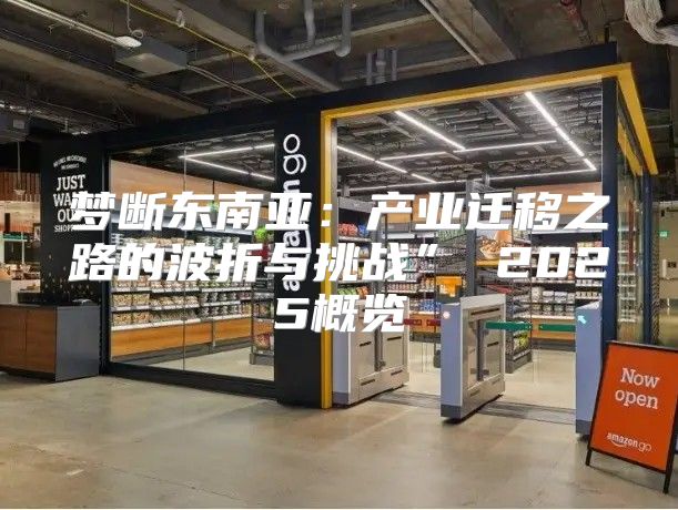 梦断东南亚：产业迁移之路的波折与挑战” 2025概览