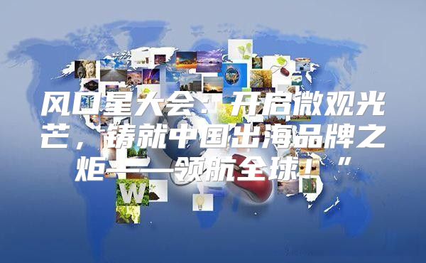 风口星大会：开启微观光芒，铸就中国出海品牌之炬——领航全球！”