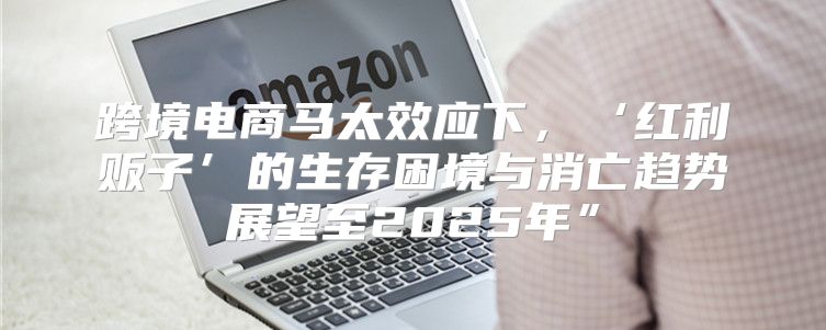 跨境电商马太效应下，‘红利贩子’的生存困境与消亡趋势展望至2025年”