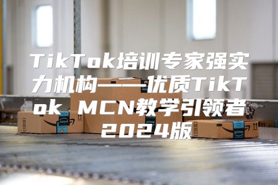 TikTok培训专家强实力机构——优质TikTok MCN教学引领者 2025版