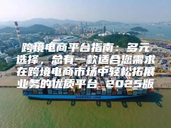 跨境电商平台指南：多元选择，总有一款适合您需求在跨境电商市场中轻松拓展业务的优质平台 2025版