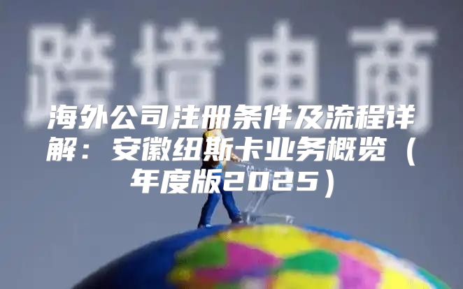 海外公司注册条件及流程详解：安徽纽斯卡业务概览年度版2025