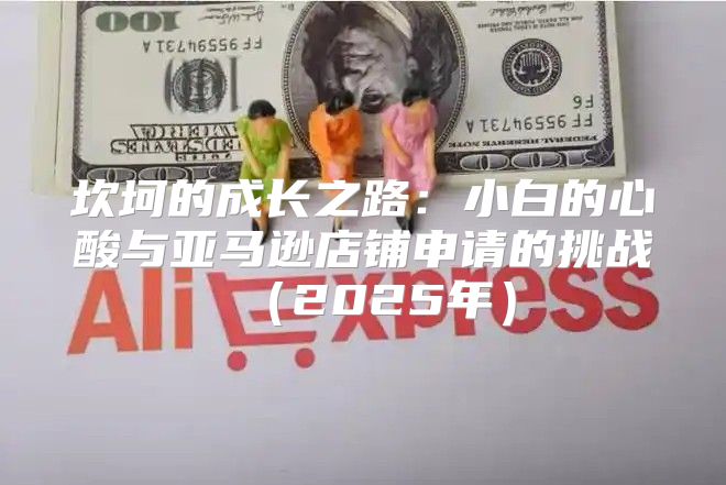 坎坷的成长之路：小白的心酸与亚马逊店铺申请的挑战2025年
