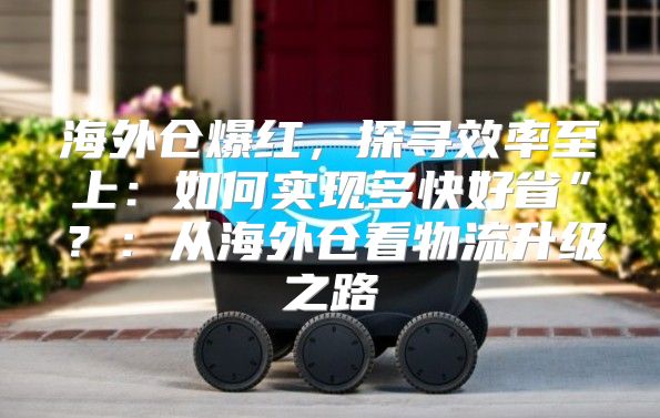 海外仓爆红，探寻效率至上：如何实现多快好省”？：从海外仓看物流升级之路