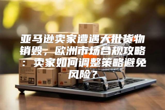 亚马逊卖家遭遇大批货物销毁，欧洲市场合规攻略：卖家如何调整策略避免风险？