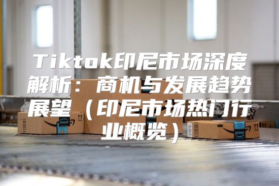 Tiktok印尼市场深度解析：商机与发展趋势展望印尼市场热门行业概览