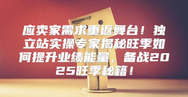 应卖家需求重返舞台！独立站实操专家揭秘旺季如何提升业绩能量，备战2025旺季秘籍！