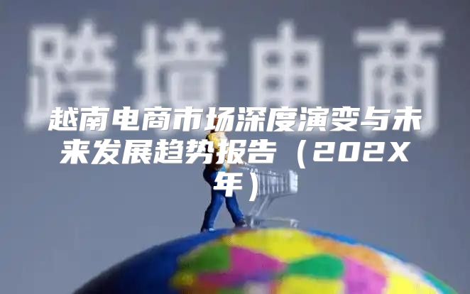 越南电商市场深度演变与未来发展趋势报告202X年