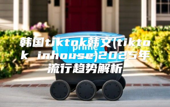 韩国tiktok韩文(tiktok inhouse)2025年流行趋势解析