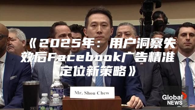 2025年：用户洞察失效后Facebook广告精准定位新策略