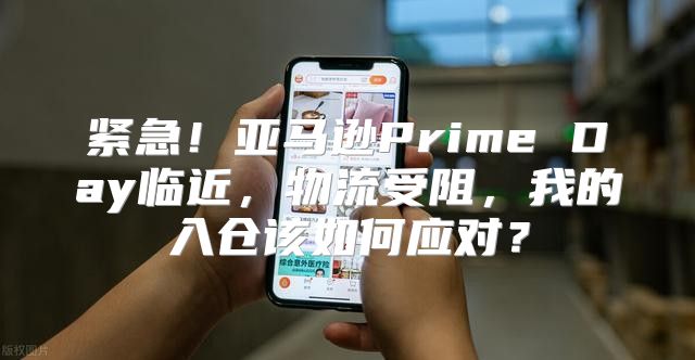 紧急！亚马逊Prime Day临近，物流受阻，我的入仓该如何应对？