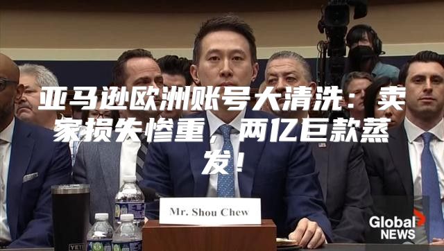 亚马逊欧洲账号大清洗：卖家损失惨重，两亿巨款蒸发！