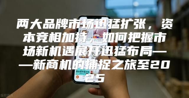 两大品牌市场迅猛扩张，资本竞相加持，如何把握市场新机遇展开迅猛布局——新商机的捕捉之旅至2025