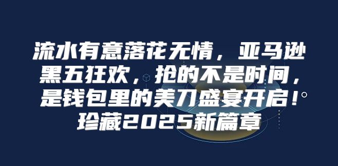 流水有意落花无情，亚马逊黑五狂欢，抢的不是时间，是钱包里的美刀盛宴开启！珍藏2025新篇章