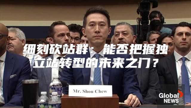 细刻砍站群：能否把握独立站转型的未来之门？