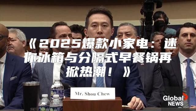 2025爆款小家电：迷你冰箱与分隔式早餐锅再掀热潮！