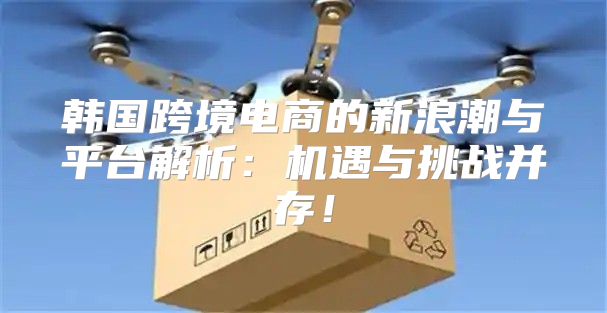 韩国跨境电商的新浪潮与平台解析：机遇与挑战并存！