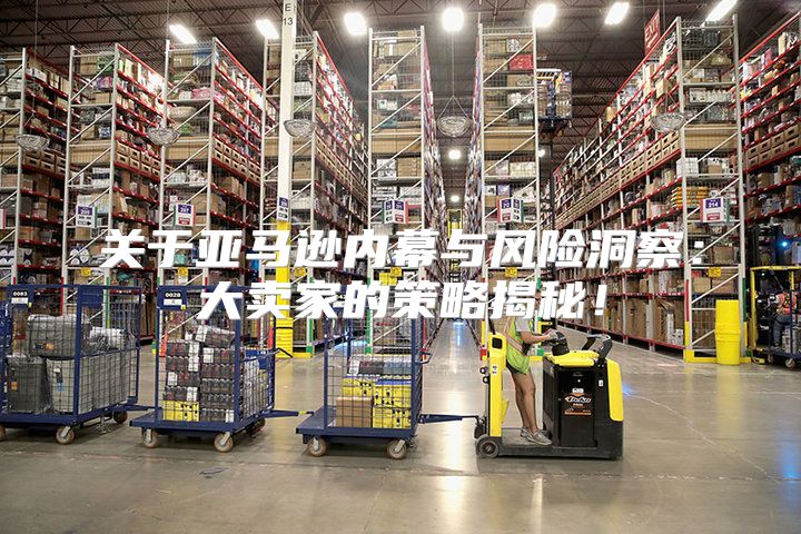 关于亚马逊内幕与风险洞察：大卖家的策略揭秘！