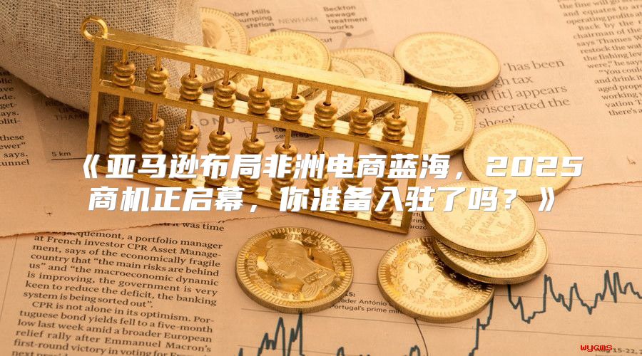 亚马逊布局非洲电商蓝海，2025商机正启幕，你准备入驻了吗？